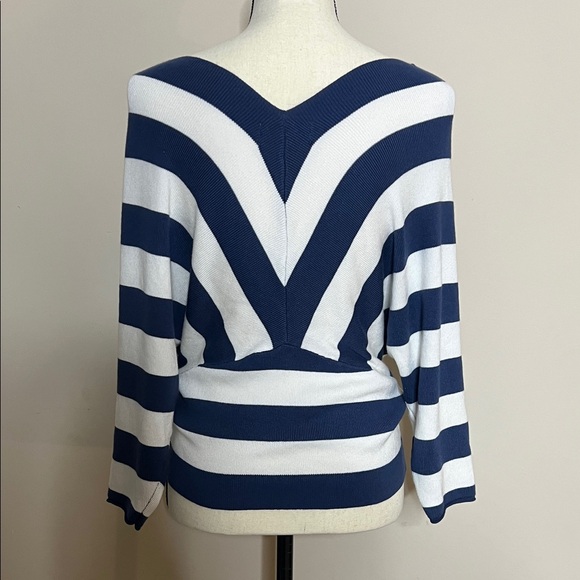 Truth By Republic Sweaters - Truth by Republic Navy and White Striped Women's Sweater